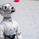 Yes that is a camera in Aibo’s nose.